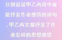 甲乙两文都抒发了作者怎样的思想感情【100句文案】 甲乙两文都抒发了作者怎样的思想感情【100句文案】