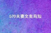 520夫妻文案简短【100句精选短句合集】