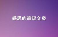感恩的简短文案44句汇总 感恩的简短文案44句汇总