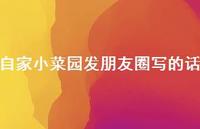 自家小菜园发朋友圈写的话【100句精选短句合集】