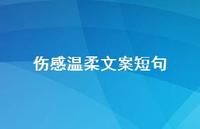 伤感温柔文案短句【100句精选短句合集】
