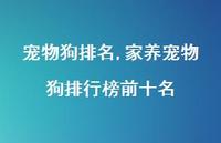 家养宠物狗排行榜前十名【精选100句】 家养宠物狗排行榜前十名【精选100句】
