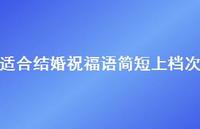 适合结婚祝福语简短上档次合集55句精选