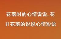 花开花落的说说心情短语【100句文案】