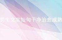 男生文案短句干净治好成熟【100句精选短句合集】