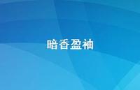 暗香盈袖64句汇总 暗香盈袖64句汇总