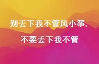 不要丢下我不管(100句) 不要丢下我不管(100句)