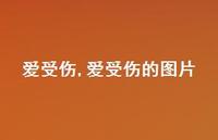 爱受伤的图片【100句文案精选】