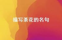 描写茶花的名句(精选44句) 描写茶花的名句(精选44句)