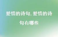 爱情的诗句有哪些【100句文案精选】 爱情的诗句有哪些【100句文案精选】