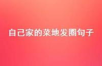 自己家的菜地发圈句子【100句精选短句合集】 自己家的菜地发圈句子【100句精选短句合集】