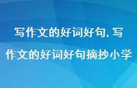 写作文的好词好句摘抄小学【精品文案100句】