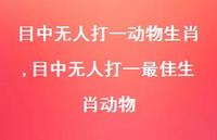目中无人打一较佳生肖动物(100句)