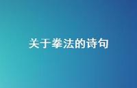 关于拳法的诗句(精选47句) 关于拳法的诗句(精选47句)
