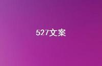 527文案【100句精选短句合集】
