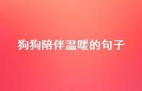 狗狗陪伴温暖的句子(精选51句) 狗狗陪伴温暖的句子(精选51句)