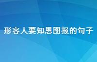 形容人要知恩图报的句子(精选68句)