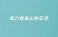 康乃馨真正的花语(精选62句) 康乃馨真正的花语(精选62句)