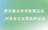 对死去父亲思念的说说(100句)