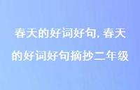 春天的好词好句摘抄二年级【精品文案100句】