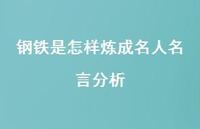 钢铁是怎样炼成名人名言分析70句汇总 钢铁是怎样炼成名人名言分析70句汇总