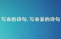 写春景的诗句【精品文案100句】
