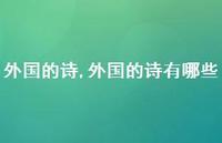 外国的诗有哪些【精品文案100句】