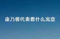 康乃馨代表着什么寓意(精选45句) 康乃馨代表着什么寓意(精选45句)