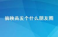 摘秧苗发个什么朋友圈【100句精选短句合集】 摘秧苗发个什么朋友圈【100句精选短句合集】