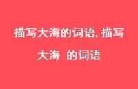 描写大海 的词语【100句文案精选】 描写大海 的词语【100句文案精选】