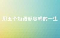 用五个短语形容蝉的一生【100句精选短句合集】 用五个短语形容蝉的一生【100句精选短句合集】