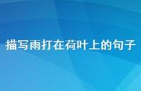 描写雨打在荷叶上的句子【100句精选短句合集】