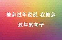 在他乡过年的句子【100句文案】
