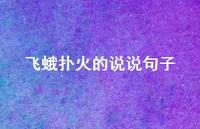 飞蛾扑火的说说句子(精选37句)
