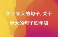 关于春天的句子四年级【精品文案100句】