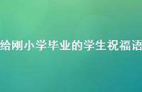 给刚小学毕业的学生祝福语合集36句精选
