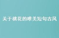 关于桃花的唯美短句古风(精选71句)