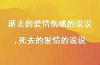 死去的爱情的说说【精选100句】 死去的爱情的说说【精选100句】