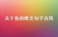 关于鱼的唯美句子古风(精选52句) 关于鱼的唯美句子古风(精选52句)