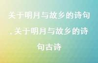 关于明月与故乡的诗句古诗【精品文案100句】