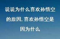 喜欢孙悟空是因为什么【精选100句】