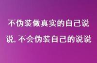 不会伪装自己的说说(100句) 不会伪装自己的说说(100句)
