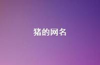 猪的网名55句汇总