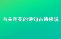 有关莲花的诗句古诗佛说(精选47句)