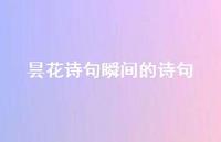 昙花诗句瞬间的诗句(精选56句)