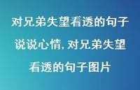 对兄弟失望看透的句子图片(100句)