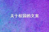 关于校园的文案【100句精选短句合集】 关于校园的文案【100句精选短句合集】