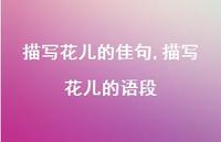 描写花儿的语段【100句文案精选】 描写花儿的语段【100句文案精选】