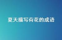 夏天描写荷花的成语(精选62句)