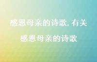 有关感恩母亲的诗歌【100句文案精选】